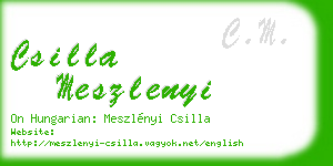 csilla meszlenyi business card