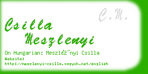 csilla meszlenyi business card
